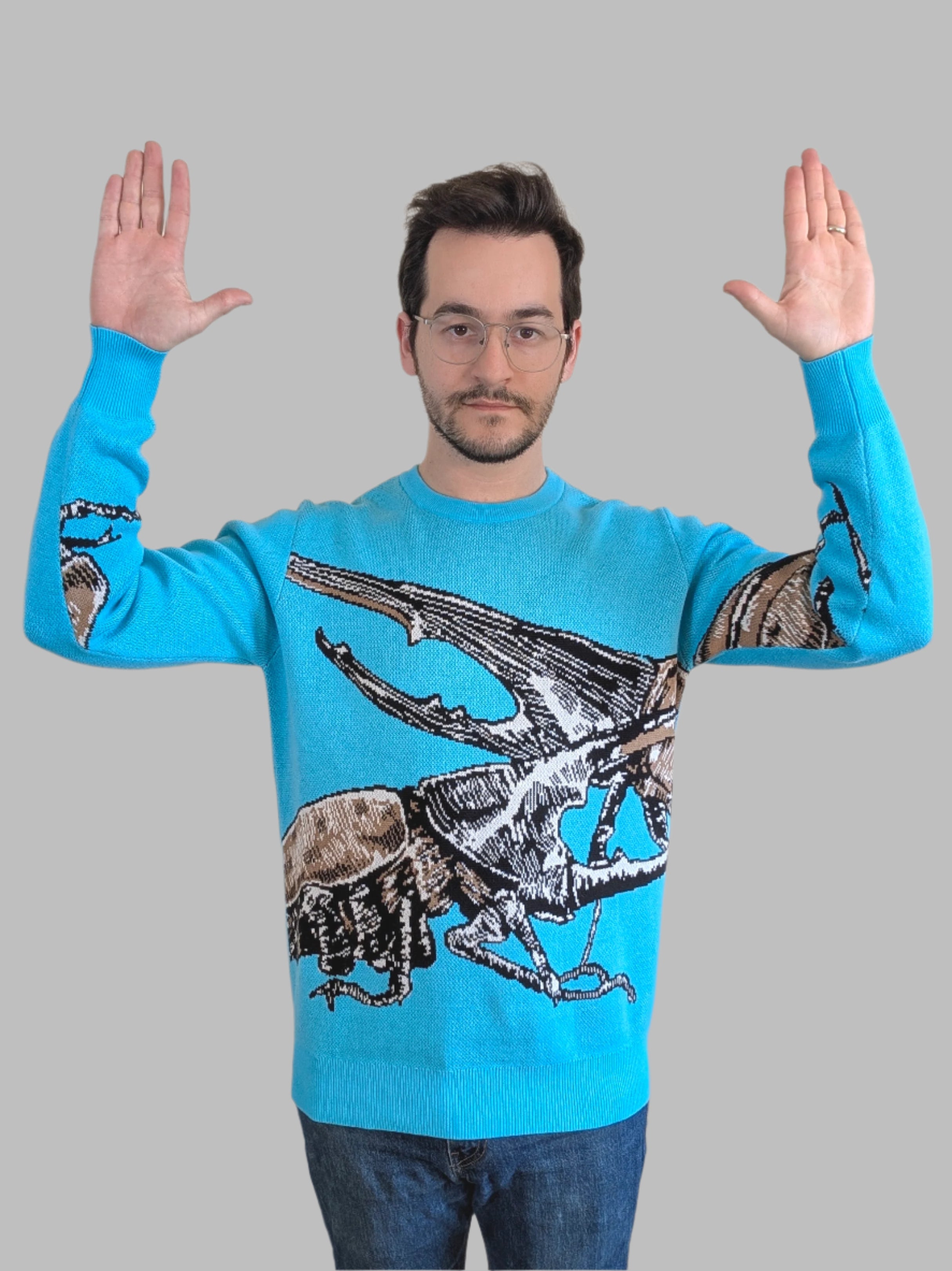Meet the Beetles Sweater - Sleepy Peach